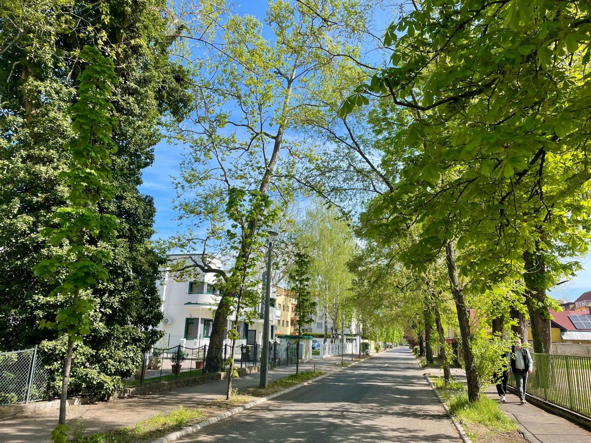 Republic5 Apartment Шиофок Экстерьер фото